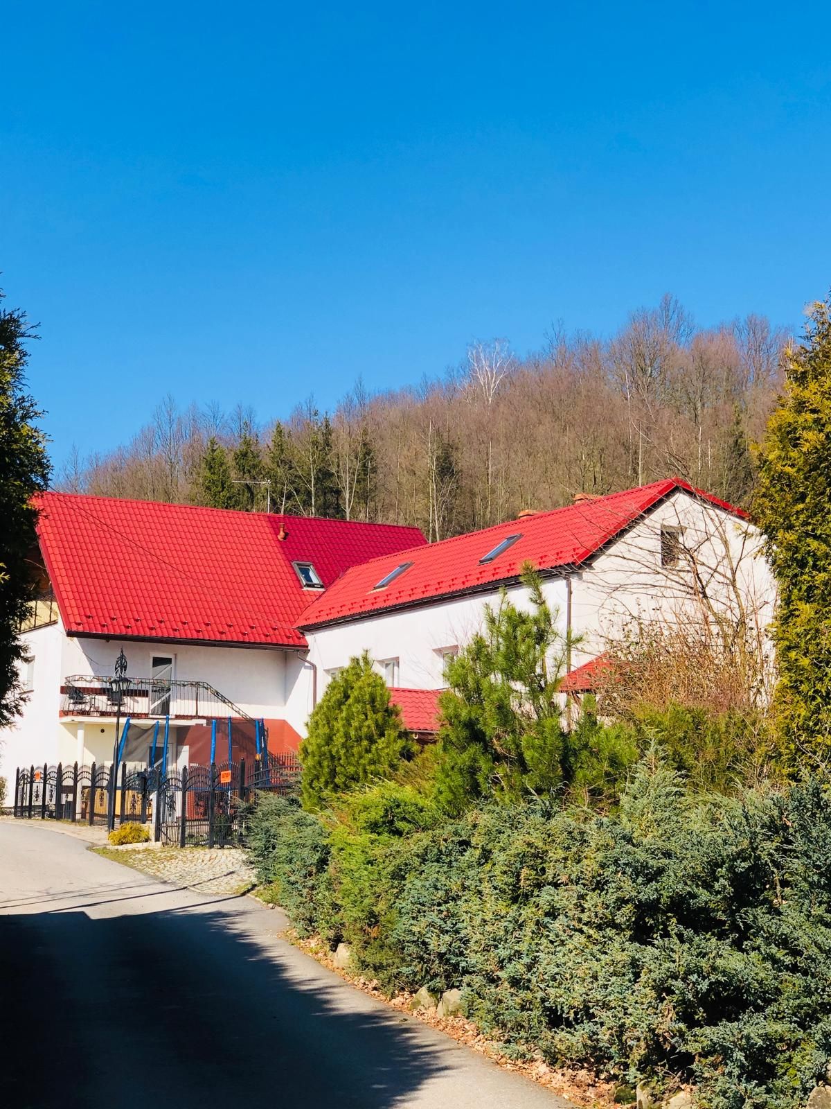 Staw zimą – Agroturystyka u Zygmunta